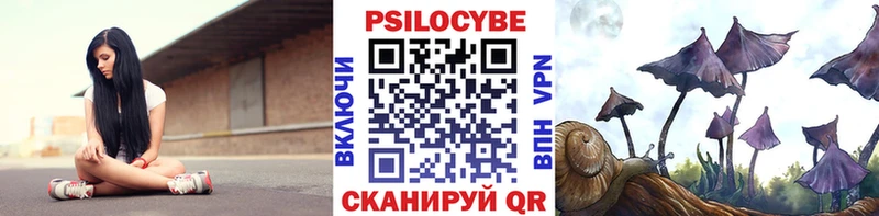 как найти Перевоз Псилоцибиновые грибы Magic Shrooms